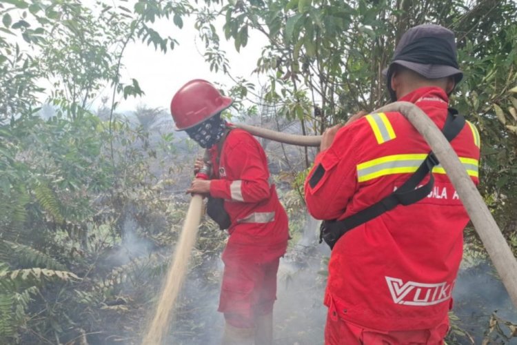 Hotspot Riau Tersisa 4, Karhutla 2025 Berhasil Dikendalikan