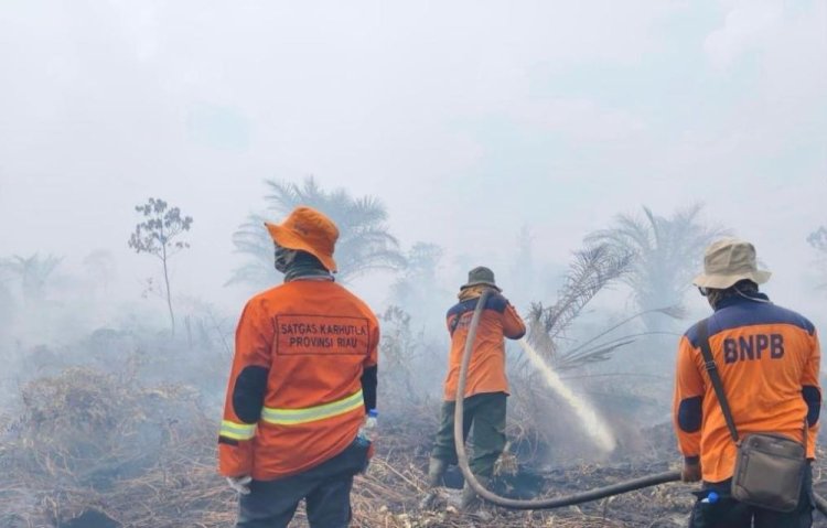 Karhutla Riau Masih Membara, BPBD Gencar Lakukan Pemadaman Darat dan Udara