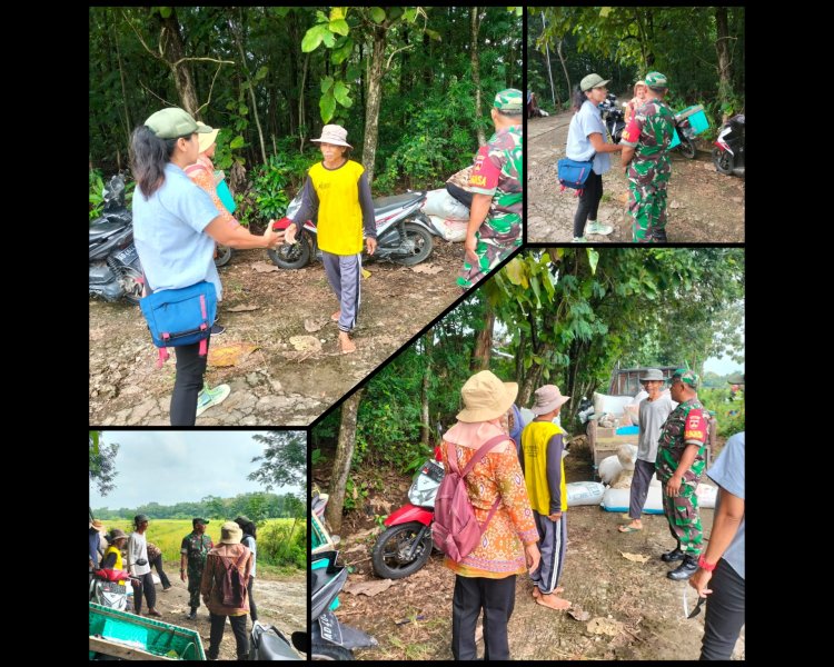 Babinsa dan PPL Nogosari Dampingi Petani, Panen Padi Meningkat